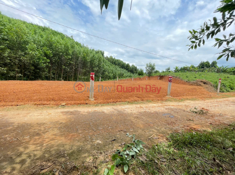 đ 239 triệu, BÁN LOCK 5 LÔ KHÁNH ĐÔNG, KHÁNH VĨNH, KHÁNH HÒA FULL THỔ DÂN ĐÔNG 2 ĐẦU, ĐƯỜNG Ô TÔ TẬN ĐẤT