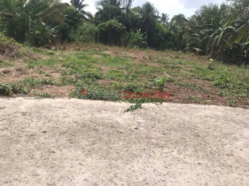 đ 600 triệu, ĐẤT ĐẸP – GIÁ TỐT – CHÍNH CHỦ CẦN BÁN ĐẤT Thị Trấn Cái Tắc, Châu Thành A, Hậu Giang