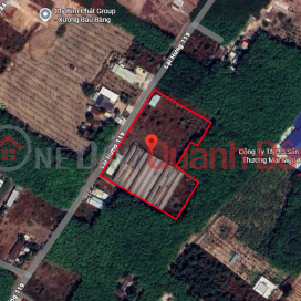O1768 Farm for rent in Lai Hung 119, Binh Duong, 1.25 hectares, 20 million VND\/month _0