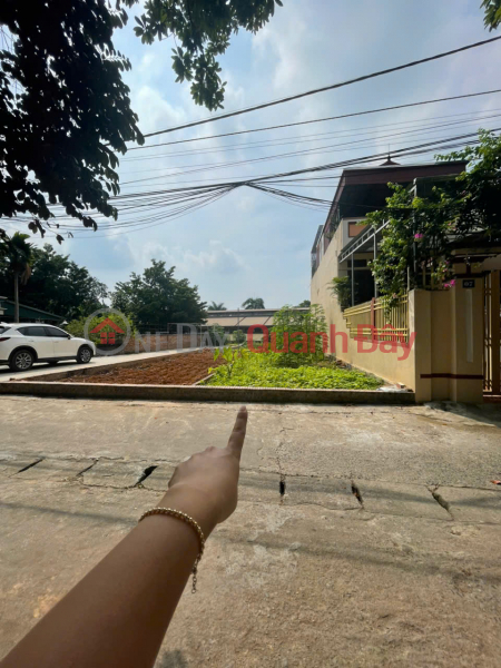 Son Tay masterpiece - just over 2 billion to own 68m2 of land in Tung Thien ward Sales Listings