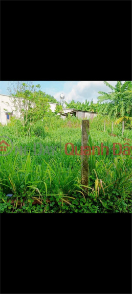 Property Search Vietnam | OneDay | Residential, Sales Listings | OWNER'S LAND - GOOD PRICE - For Sale At Loc Thanh Residential Area, Loc Hung Ward, Trang Bang, Tay Ninh