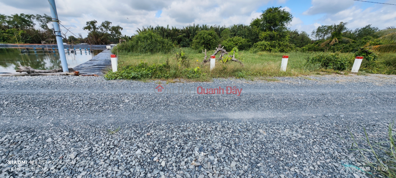 Property Search Vietnam | OneDay | Residential, Sales Listings Urgent sale of land with dike frontage to build bird's nest house for 1.05 billion