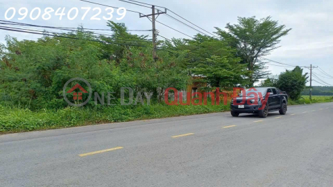 CẦN BÁN LÔ ĐẤT Mặt tiền đường Hồ Văn Tắng, Xã Tân thạnh Đông, củ Chi, HCM _0