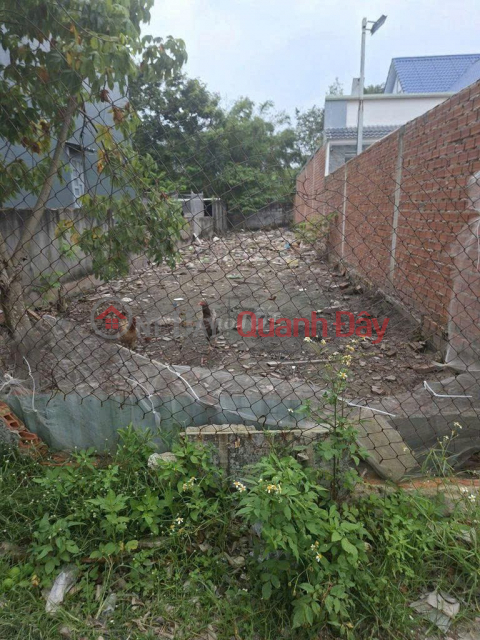 LAND FOR SALE BY OWNER - GOOD PRICE - New Hamlet 1, My Hanh Nam Commune, Duc Hoa District, Long An _0