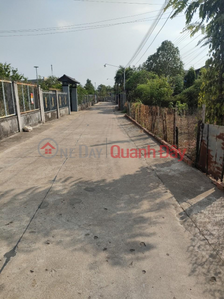 Property Search Vietnam | OneDay | Residential, Sales Listings, HOT!!! LAND By Owner - Good Price - Quick Sale Land Lot at 117 Nguyen Thi Minh Khai, Quarter 7