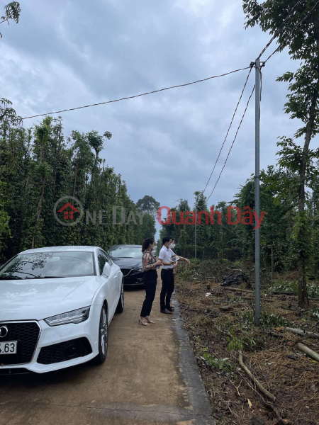 Property Search Vietnam | OneDay | Residential Sales Listings | Stuck in 3 lots of 1000m2 right at Giao Thong Lake, Lam San, Cam My - Price 1,050 is quite cheap