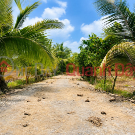 Chính chủ bán đất 300m² full thổ cư Hựu Thạnh – gần Đại học Tân Tạo, cách TP.HCM chỉ 28km _0