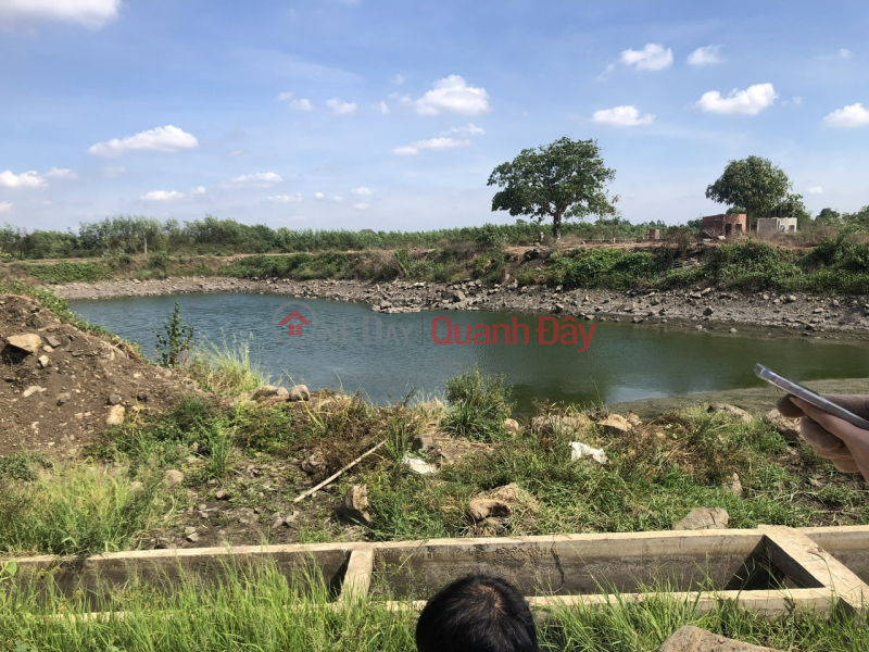 OWNER'S LAND - GOOD PRICE - Phuoc Long Tho Commune, Long Dat, Ba Ria Vung Tau | Vietnam, Sales, đ 6.42 Billion