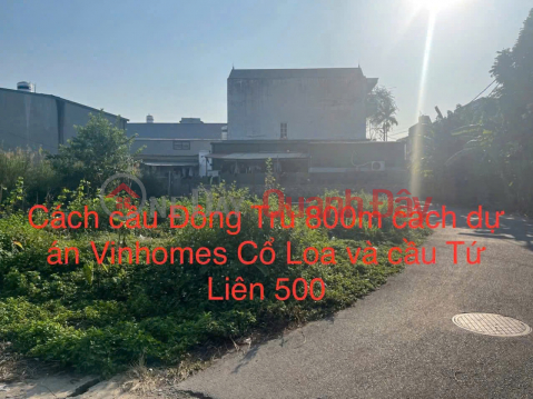 Owner selling a prime 43.5 m2 plot of land in Trung Thon, Dong Hoi, Dong Anh, located between Vinhome Co Loa. _0