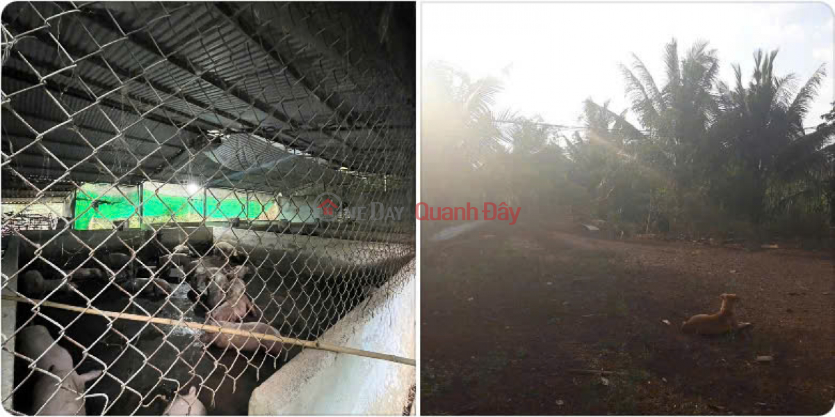 đ 12 Billion, Owner selling 20,000m2 of land in Bau Lam Commune, Xuyen Moc District, Ba Ria Vung Tau Province.