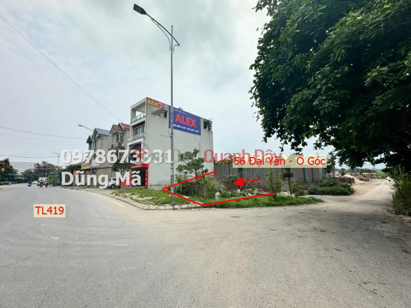 MAIN BUSINESS AXIS AT TL419 DAI YEN-CHUONG MY Sales Listings