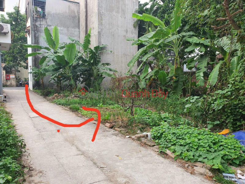 CC for sale 39.5m2, only 1.x billion, land in Bien Giang Ha Dong. Sales Listings