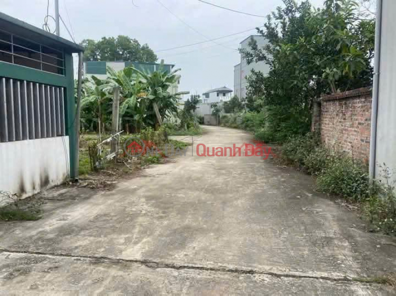 Property Search Vietnam | OneDay | Nhà ở Niêm yết bán, CHÍNH CHỦ CẦN BÁN LÔ ĐẤT 80M TẠI THỦY XUÂN TIÊN-CHƯƠNG MỸ-HÀ NỘI