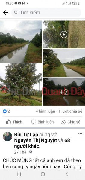 Property Search Vietnam | OneDay | Nhà ở, Niêm yết bán, Tôi CHÍNH CHỦ Cần Bán Đất Trồng Sầu Riêng Tại Ấp Trường Thạnh A, Xã Trường Thành, Thới Lai, Cần Thơ