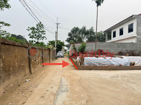 Corner Land for Sale in Kim Hoa, Me Linh, Hanoi - Extremely Attractive Golden Investment Opportunity _0