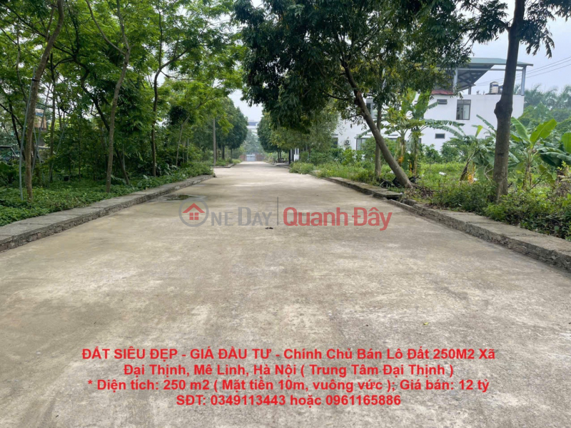 SUPER BEAUTIFUL LAND - INVESTMENT PRICE - Owner Sells 250M2 Land Lot in Dai Thinh Commune, Me Linh, Hanoi (Dai Thinh Center) Sales Listings