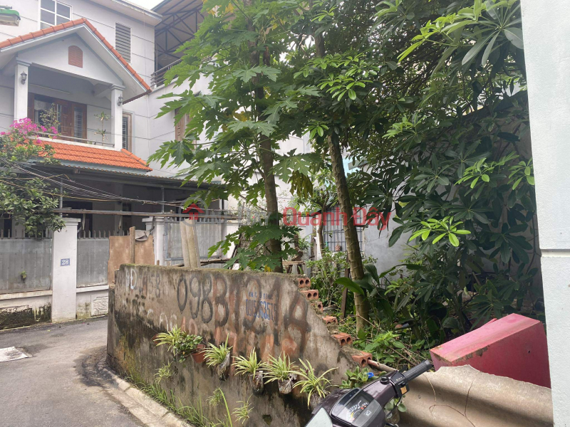 URGENT SALE OF BEAUTIFUL CORNER LOT - TRAU QUY, PRICE ONLY 4.55 BILLION, CONTACT 0985865658, Vietnam | Sales, đ 4.55 Billion