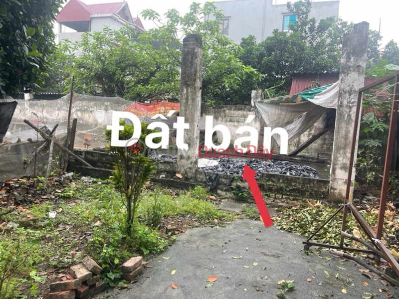 Selling land in My Noi, Bac Hong, 100 square meters of car space for a small price of 3 billion TL. Contact: 0936123469 Sales Listings