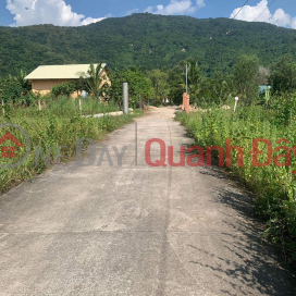 BEAUTIFUL LAND - GOOD PRICE For Quick Sale Land Lot, Nice Location In Phuoc Thanh, Tan Hoa Commune, Phu My Town. _0
