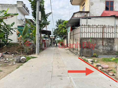 Land for sale in group 9, Quang Minh town, Me Linh. Near Tue Tinh Medical and Pharmaceutical College and Industrial Park. _0