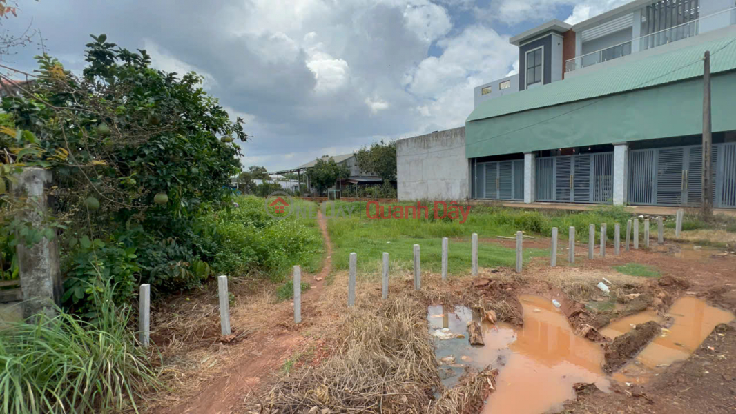 Property Search Vietnam | OneDay | Residential Sales Listings, Owner sells 2-frontage land lot, residential land in the center of Bu Gia Map