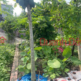 CHÍNH CHỦ CẦN BÁN 42 M2 GIAO TẤT A - THUẬN AN, GIÁ NHỈNH 2 TỶ, LIÊN HỆ 0985865658 _0