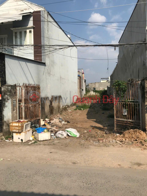 GOOD PRICE - OWNER Needs to Sell Quickly Beautiful Land Lot in Binh Chanh, Ho Chi Minh City _0