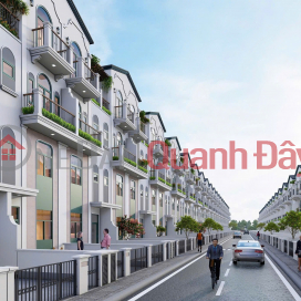 Golden Boulevard – New Investment Focus in Hoa Loi Center _0