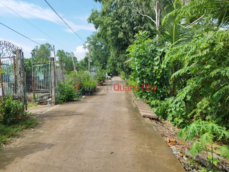 Property Search Vietnam | OneDay | Nhà ở Niêm yết bán Bán nền xây biệt thự view sông 240m2 gần công viên Sa Đéc Đồng Tháp