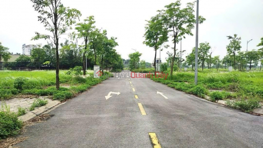Property Search Vietnam | OneDay | Nhà ở | Niêm yết bán | Bán đất tái định cư Đông Nam Cổ Dương - Lô khe thoáng 3 mặt tiền - Mặt đường đôi