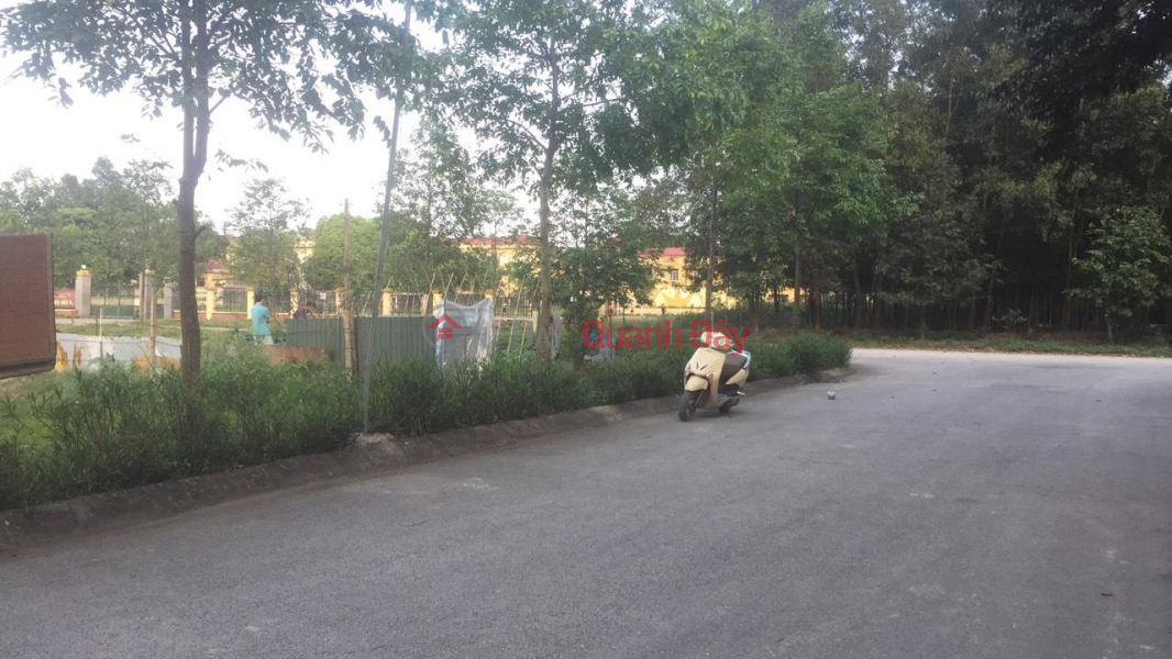 Property Search Vietnam | OneDay | Residential Sales Listings | BEAUTIFUL LAND - GOOD PRICE - Owner Sells Land Lot 75m2 Street 4, Quang Hung Ward, Thanh Hoa City, Thanh Hoa