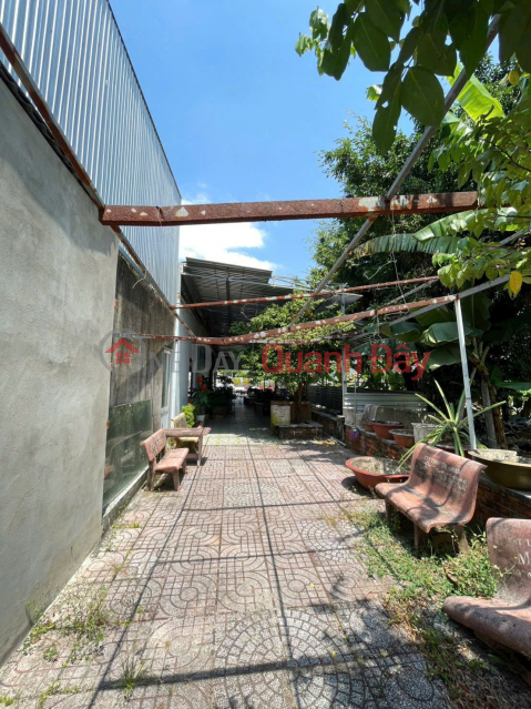 PRIME LAND – GREAT PRICE – OWNER URGENTLY SELLING LAND in Ward 1, Ca Mau City, Ca Mau Province _0