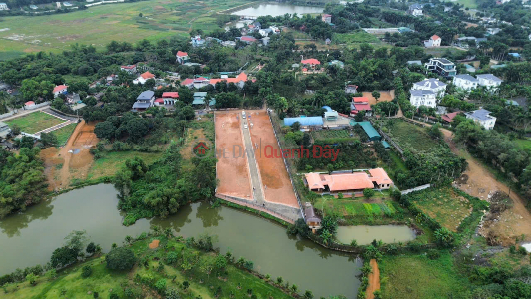 100m2 of fully residential land with an 8-meter frontage in Co Dong, Son Tay, Hanoi, priced at only 29 million VND\\/m2., Vietnam Sales đ 2.9 Billion
