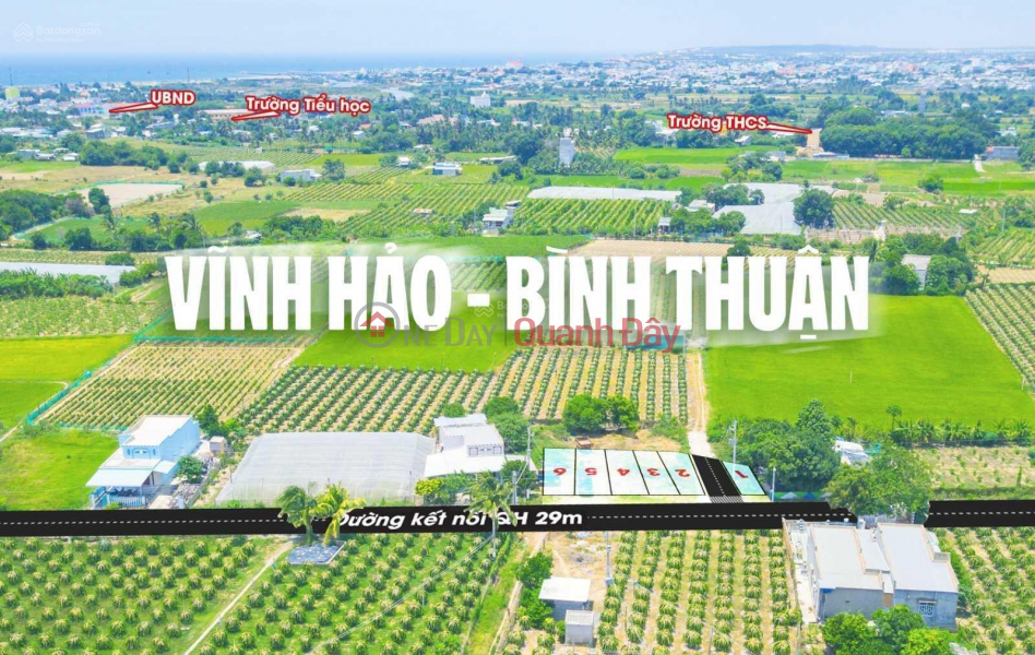 Property Search Vietnam | OneDay | Niêm yết bán | Đầu tư đất nền tại Phước Thể Bình Thuận – lợi nhuận cực cao trong tầm