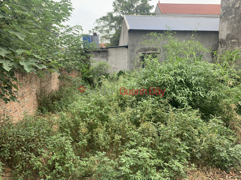 Property Search Vietnam | OneDay | Nhà ở, Niêm yết bán bom bom tấn ngọc hòa trúc sơn chương mỹ hà nội 45m đất thổ cư hà nội cách ql6 300 m bến xe yên nghĩa 5 km