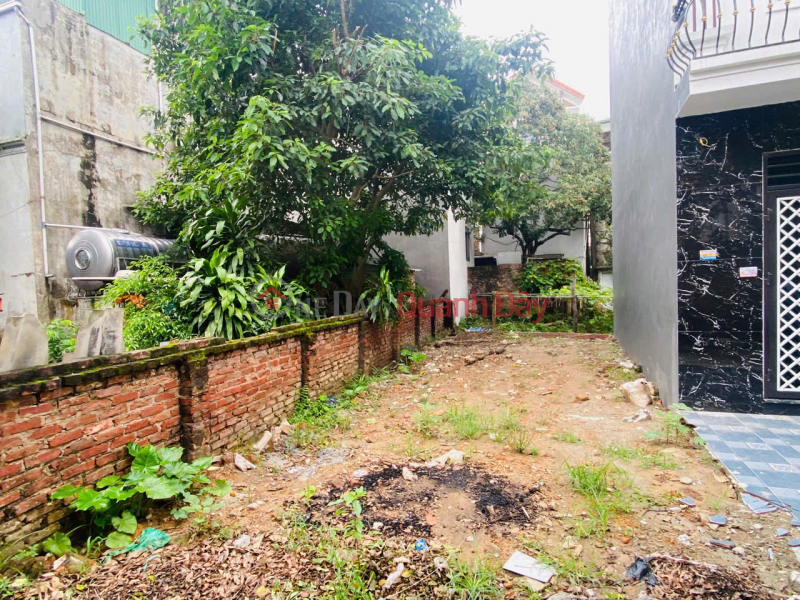 CHÍNH CHỦ CẦN TIỀN BÁN LÔ ĐẤT 68,6M TẠI PHỤNG CHÂU-CHƯƠNG MỸ-HÀ NỘI Niêm yết bán