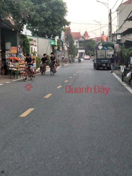 Property Search Vietnam | OneDay | Residential, Sales Listings Land for sale on Road 205, main business axis of Me So, Van Giang, 6.5m frontage, near Ring Road 4