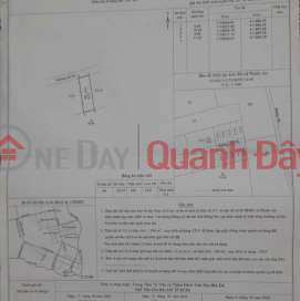 BEAUTIFUL LAND - GOOD PRICE - Owner Needs to Quickly Sell a Lot of Land in a Good Location in Phuoc An Commune, Nhon Trach, Dong Nai _0