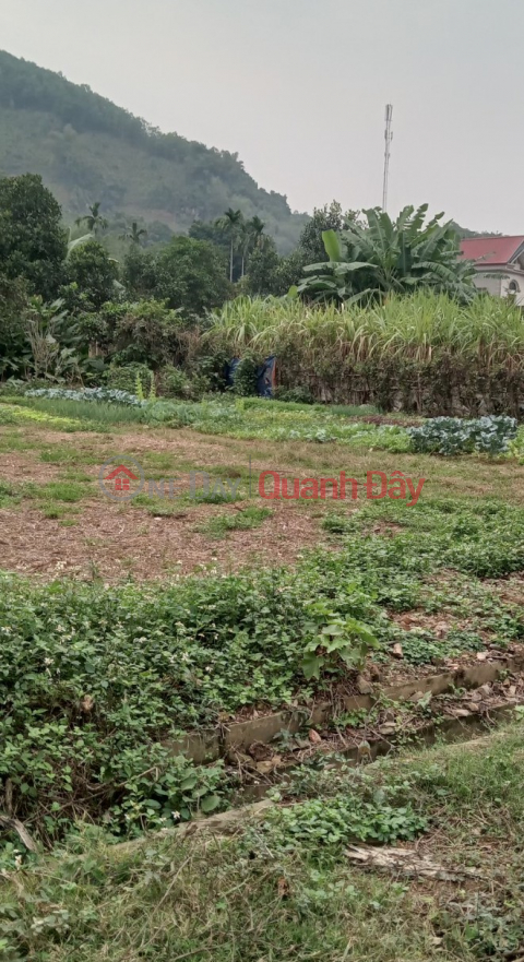 Owner needs money to sell 400m2 of residential land in Luong Son Hoa Binh, a few hundred meters from Highway 6, only 2.2 billion _0