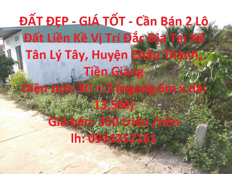 BEAUTIFUL LAND - GOOD PRICE - For Sale 2 Adjacent Land Lots Prime Location In Chau Thanh - Tien Giang Sales Listings