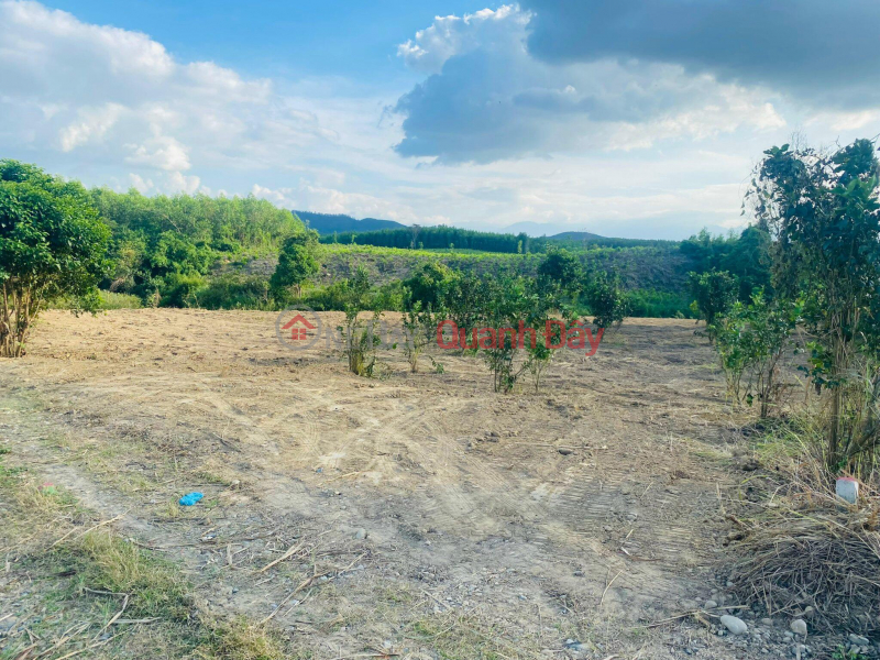 OWNER Needs to Urgently Sell LAND LOT with River View - Extremely Cheap Price at Khanh Hiep BHK Sales Listings