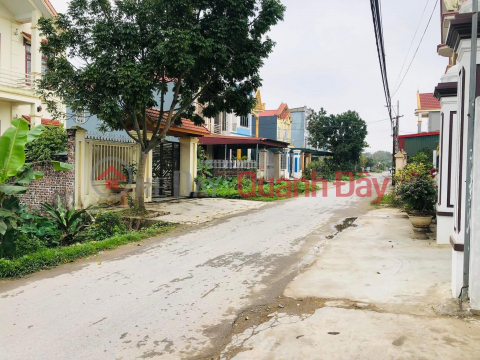 URGENT SALE Street Front Land Plot - Ung Hoe Land (Old Ninh Hoa Commune) Ninh Giang District, Hai Duong _0