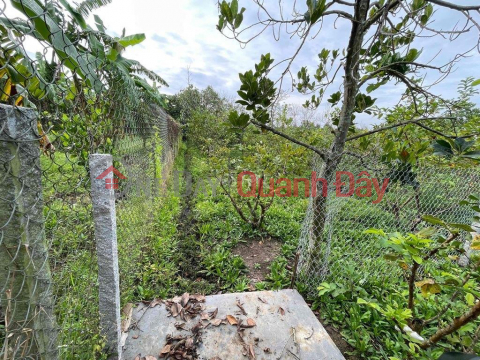 OWNER QUICK SELLING LOT OF LAND Beautiful Location In Cai Lay Town, Tien Giang Province _0