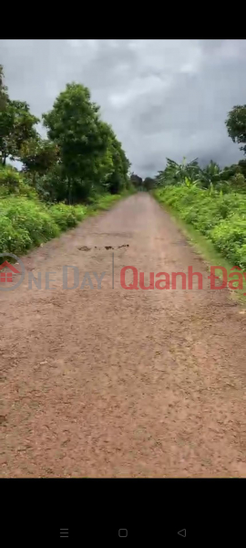 BEAUTIFUL LAND - GOOD PRICE - Land Lot For Sale Prime Location In Bo Ngoong Commune, Chu Se District, Gia Lai Province | Vietnam | Sales, đ 1.05 Billion