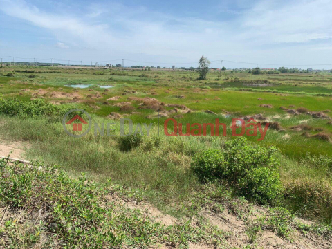 BEAUTIFUL LAND - GOOD PRICE - For Quick Sale Land Lot Prime Location In Ly Nhon Commune, Can Gio District _0