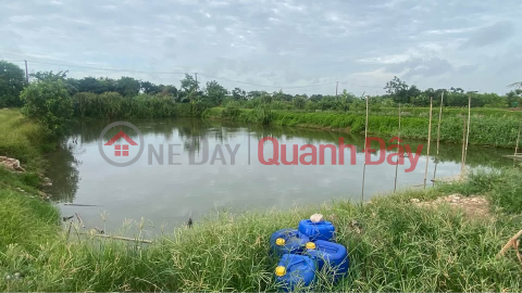 Need to sell quickly Pond Land Plot in Nam Van - Nam Dinh City. _0