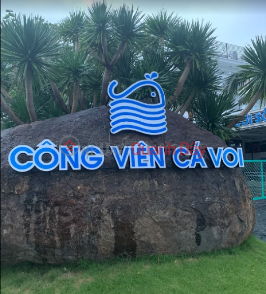 Công viên Cá Voi (Whale Park) Sơn Trà | ()(2)