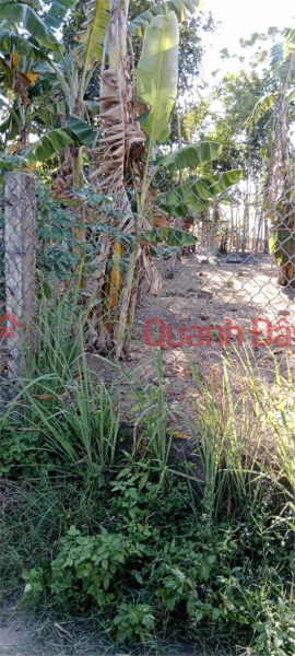 OWNER Needs to Sell a Lot of Land in a Beautiful Location in Hoa Binh Village, Nghia Hoa Commune, Tu Nghia, Quang Ngai, Vietnam | Sales, đ 550 Million