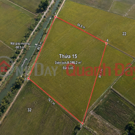 OWNER SELLING 6,246M2 OF LAND WITH READY TITLE DEED NEAR PROVINCIAL ROAD 786, BEN CAU. _0