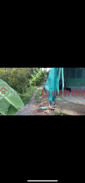 ĐẦU TƯ LÀ SINH LỜI - Cần Bán Đất Vườn Sầu Riêng GIÁ NGỘP - Xã Mỹ Lợi B, Cái Bè, Tiền Giang Việt Nam, Bán đ 1,17 tỷ